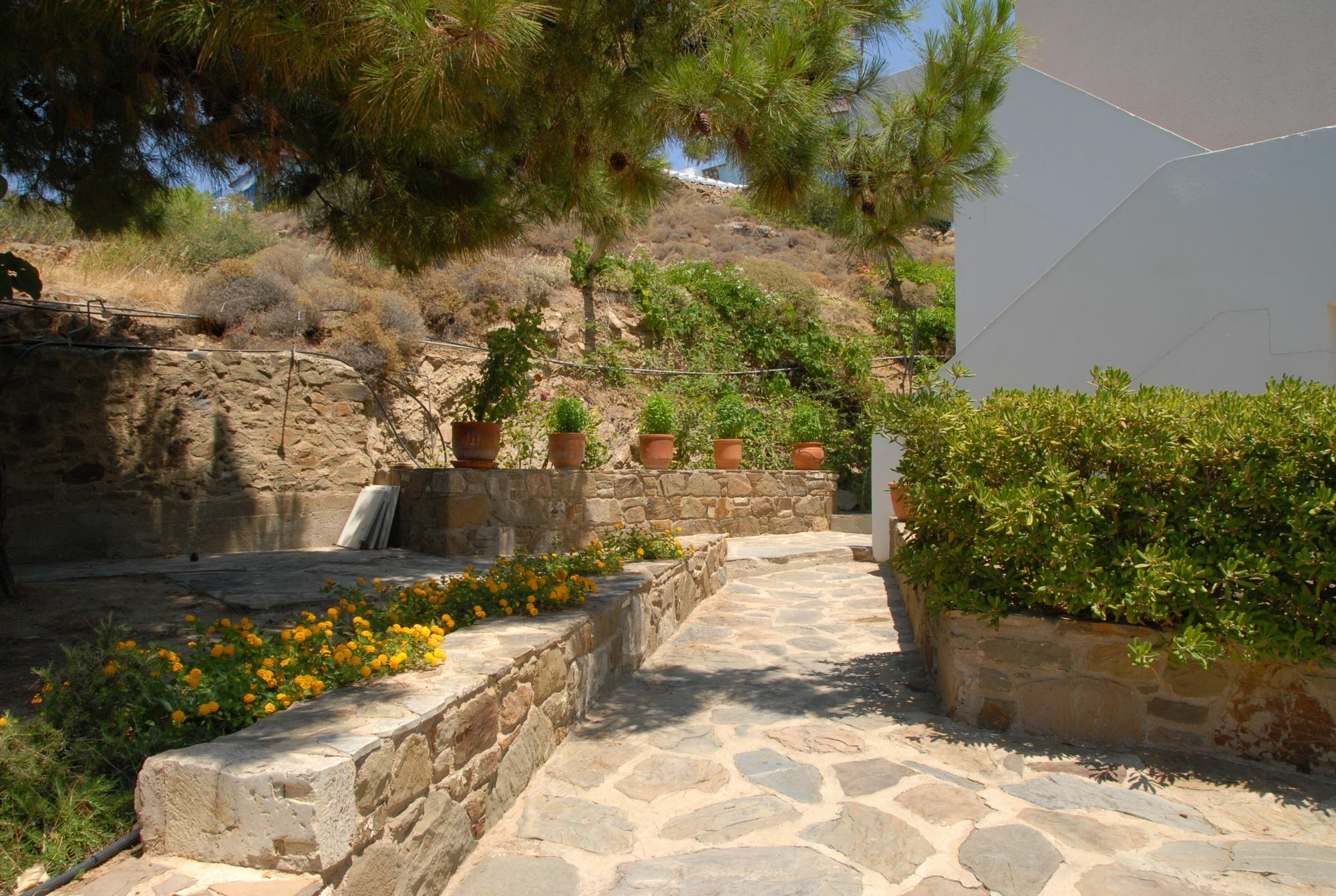 Zorbas Apartments Volissos Buitenkant foto
